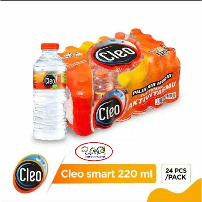 

FM Cleo Smart Mini Water 220 ml (1 Pack / 24 Pcs)