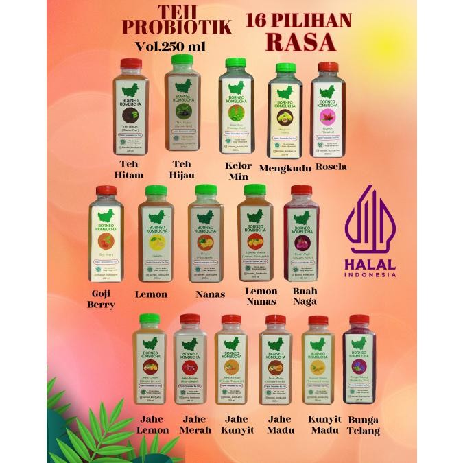 

FM Borneo Kombucha Teh Probiotik Fermentasi Halal Buah Dan Rempah Organik Asli - 250 mL