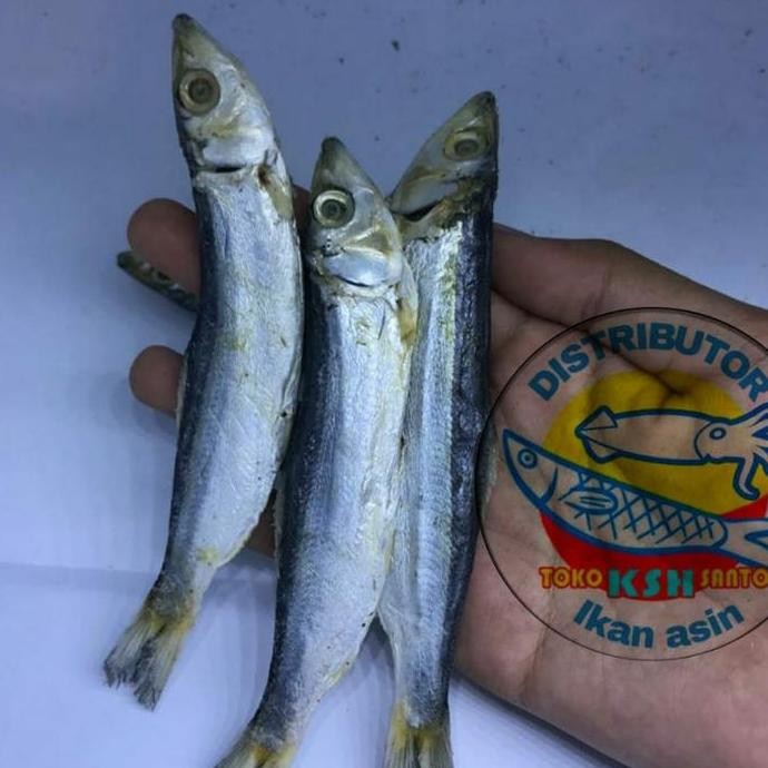 

ikan asin japu ketan super-1kg