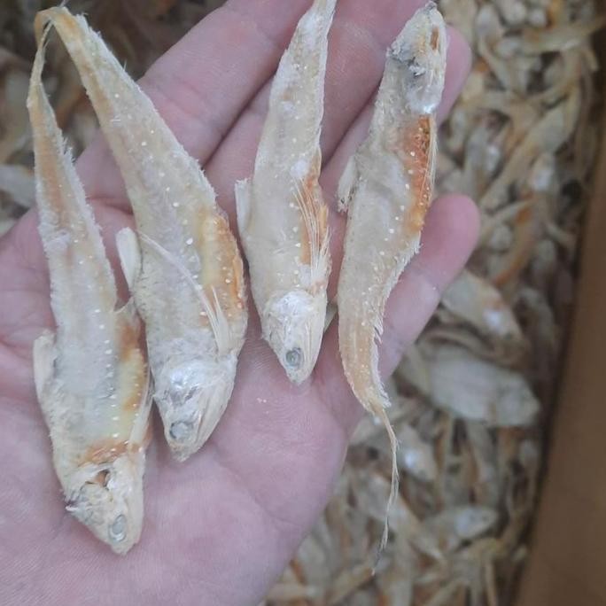 

ikan asin bulu ayam 500gr