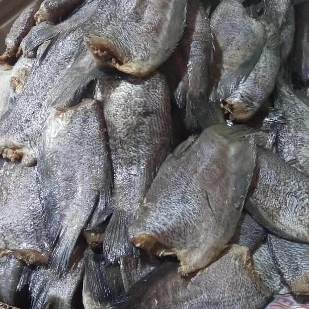 

Ikan asin Sepat siam paling jumbo 1kg