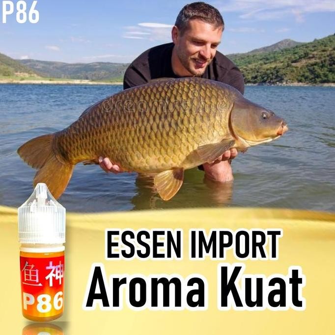Best Item, P86 Essen Ikan Import Jahat - Essen Pancing Umpan Aroma Gurih Amis Untuk Babon Ikan Mas ,