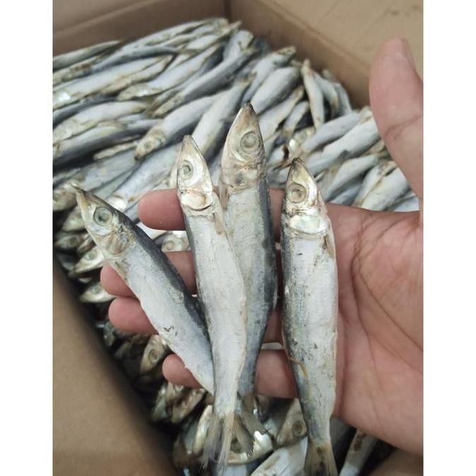 

Ikan Asin Japuh Lemuru Kering Paling TerEnak Berkualitas Export 500 GR