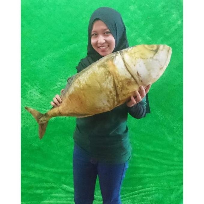 Bantal Ikan Asin Mirip Asli Boneka Bantal Sofa ruang tamu Bizzarpillow