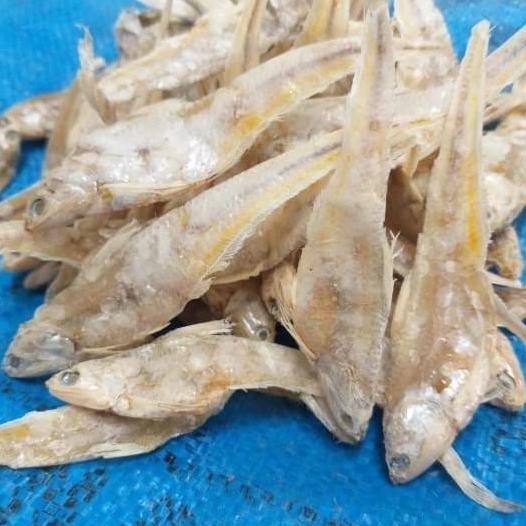 

Ikan Asin Bulu Ayam Asin Kemasan Vakum 100-500 Gram