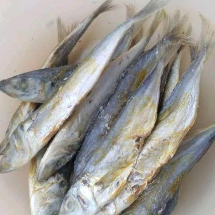 

Ikan asin bolocot atau ikan asin layang 500 gr Frozen