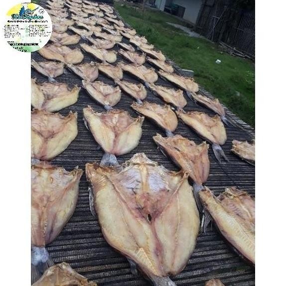 

IKAN ASIN JAMBAL ROTI SUPER NGEPRUL 1kg , jambal roti mentega super