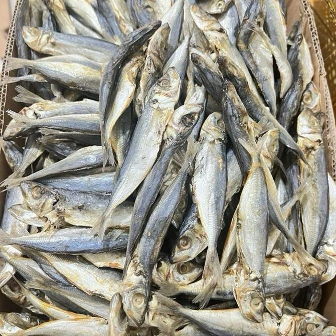 

PRODUK TERBARU LAYANG ASIN 250G ( IKAN ASIN ENAK ) READYY