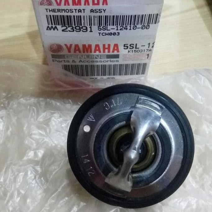 Thermostat Yamaha R6