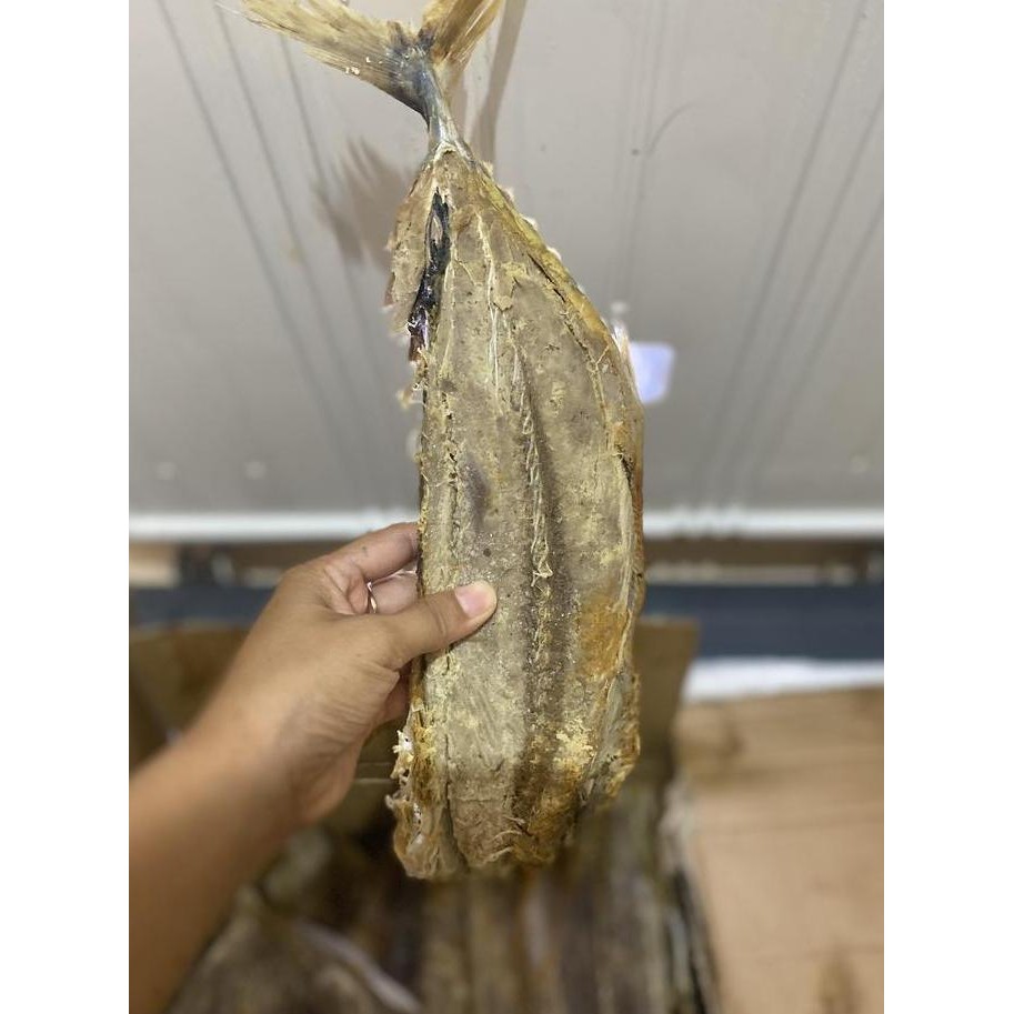 

IKAN ASIN TONGKOL BESAR BAHAN MAKANAN OLAHAN