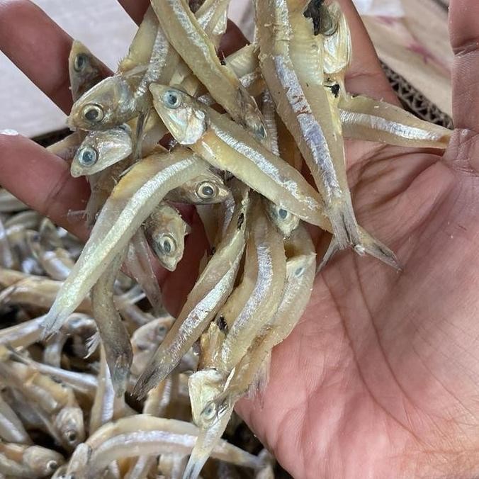 

1 kg Ikan Teri Jengki Asin Setengah KERING TERMURAH