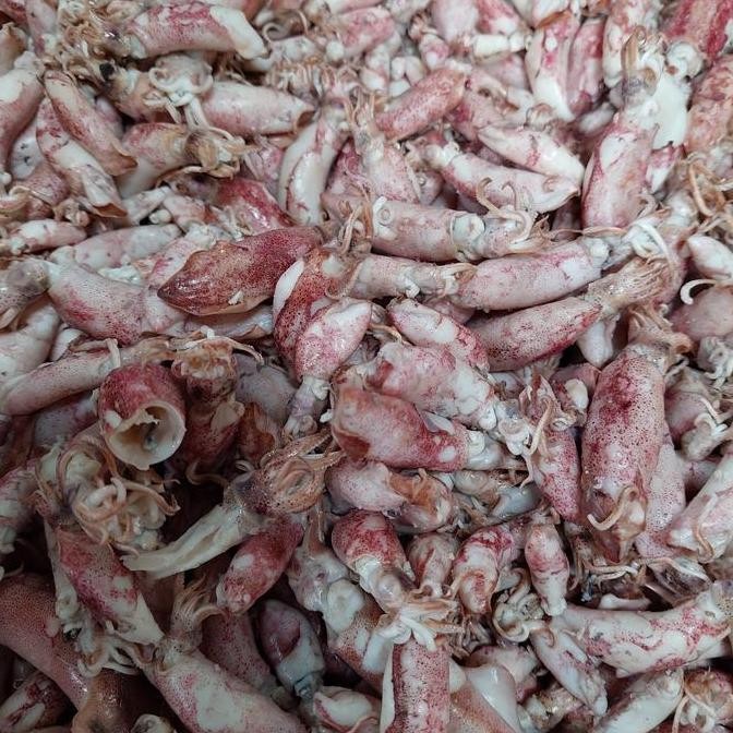 

cumi baby asin 10kg/ikan asin cumi baby 10kg