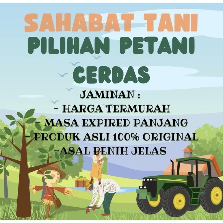 Gf21 {400 Biji} Benih Cabe Dewata 76 F1 Repack Original