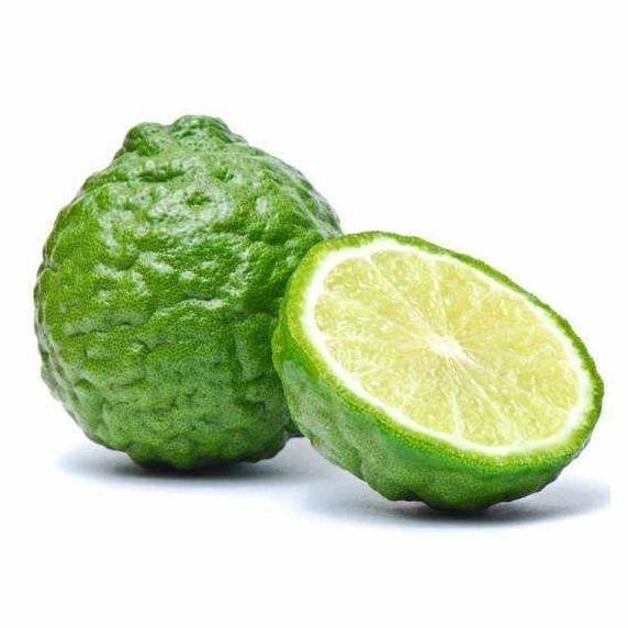 

jeruk purut / jeruk purut jantan betina / jeruk nipis