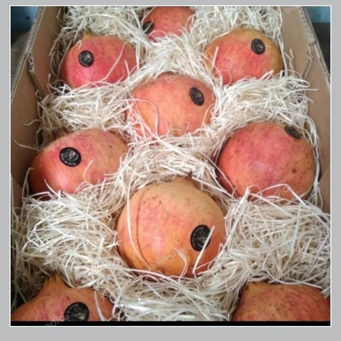 

RKM Buah Delima Merah Spanyol Red Pomegranate -/+ 9 Kg