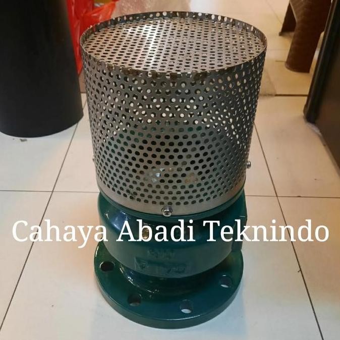 Gala Foot Valve Flange 4"Inch / Foot Valve Cast Iron Flange Dn100