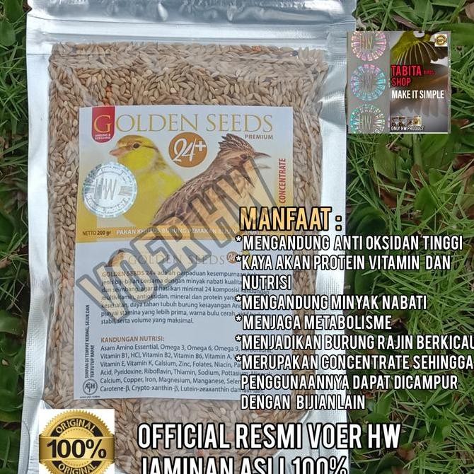 

HW GOLDEN SEEDS 24+