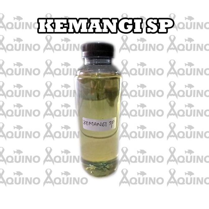 

New Arrival, Essen Kemangi Sp 250 Mili