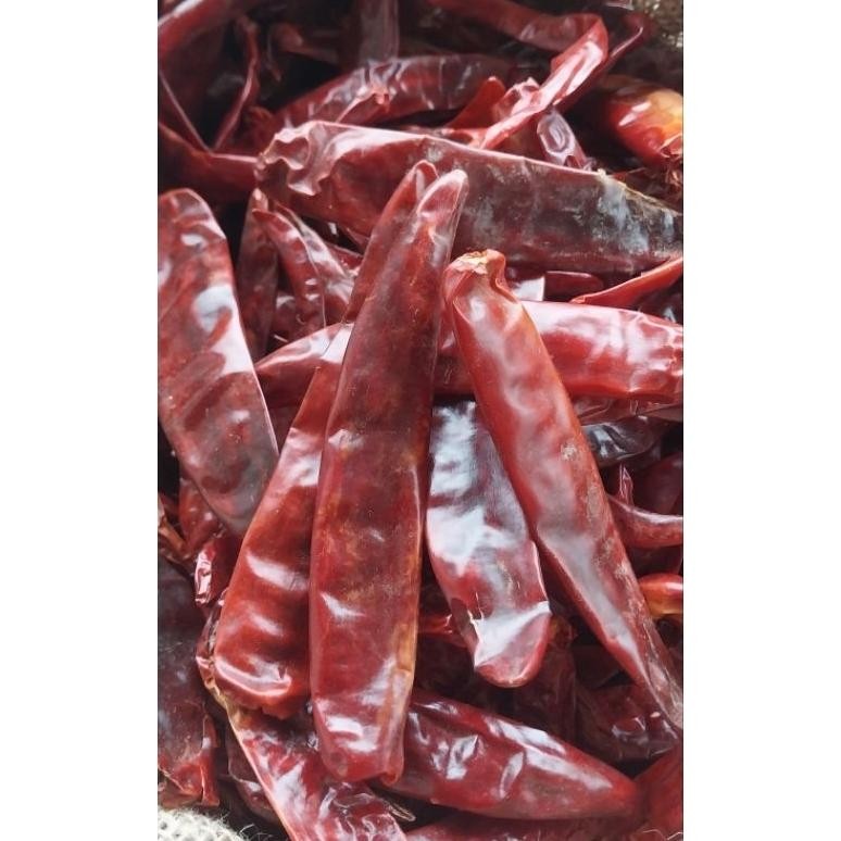 

Kenyamanan Promo !! 1Kg Cabe Merah Besar Kering Tidak Pedas