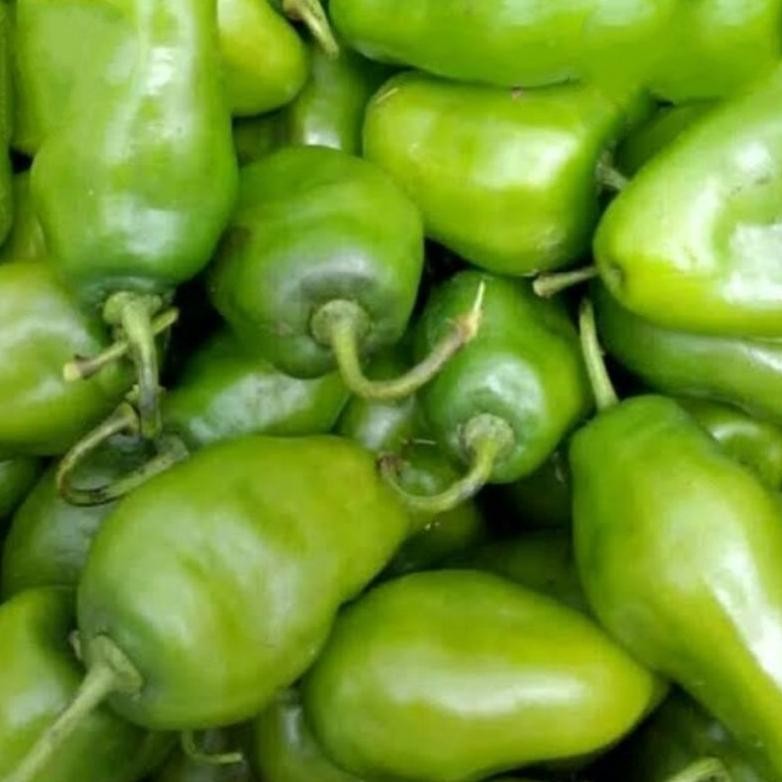 

Cocok Cabai Bendot Cabe Gendot Bandung Segar 250Gr Ekstra Pedas