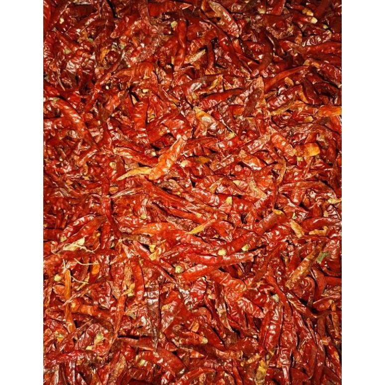 

Inspiratif Kemasan 1Kg Cabe Rawit Teja Kering Infor India Kuakitas Bagus