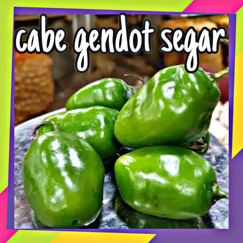 

Keuntungan Cabe Gendot 1Kg Asli Dieng