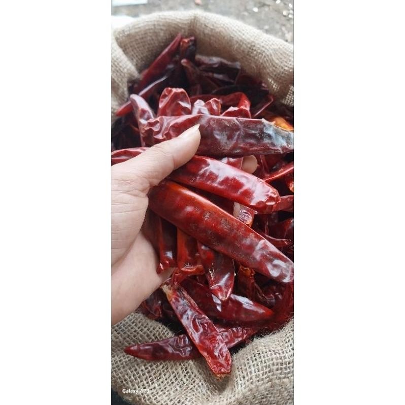 

Berkualitas Promo !! 1Kg Cabe Merah Besar Kering Tidak Pedas
