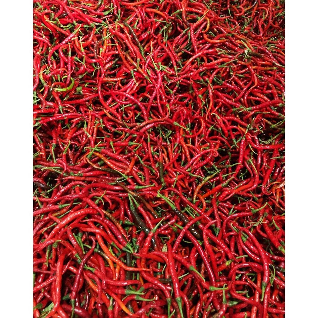 

Revolusioner Cabe/Cabai Merah Keriting 1 Kg Segar Asli Blitar