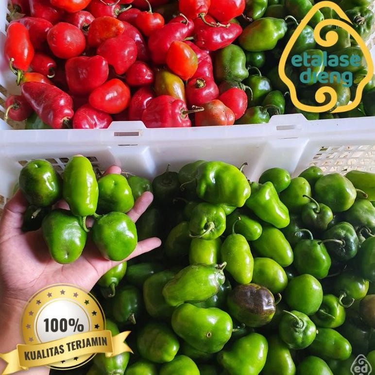 

Wajib Miliki Cabai / Cabe Gendot / Cabe Dieng / Cabe Gendut / Habanero / Cabe Fresh / Cabe / 1Kg / 0,5 Kg