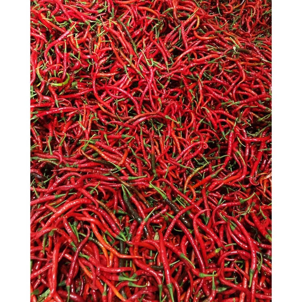 

Revolusioner Cabe/Cabai Merah Keriting 1 Kg Segar Asli Blitar