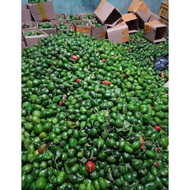 

Simplicity Cabe Gendot 500Gram