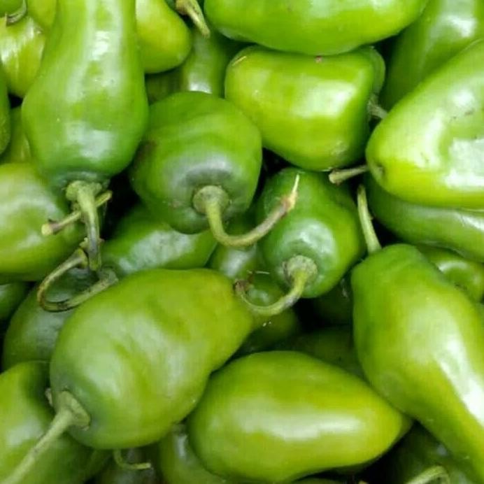 

Bahan Terbaik Cabe Gendot / Cabe Bendot / Cabe Gendol / 1 Kg / Fresh / Segar / Sayuran / Cabai