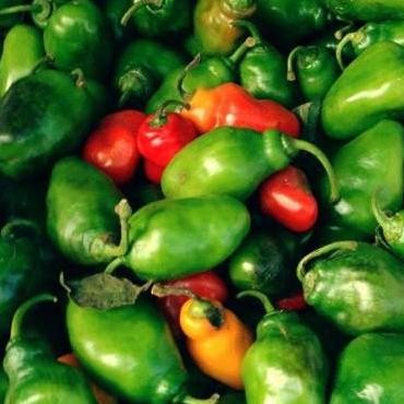 

Inspiratif Cabe Cabai Gengot Bendot Gendol Segar 500Gr Sayur- Buah Fresh Bandung