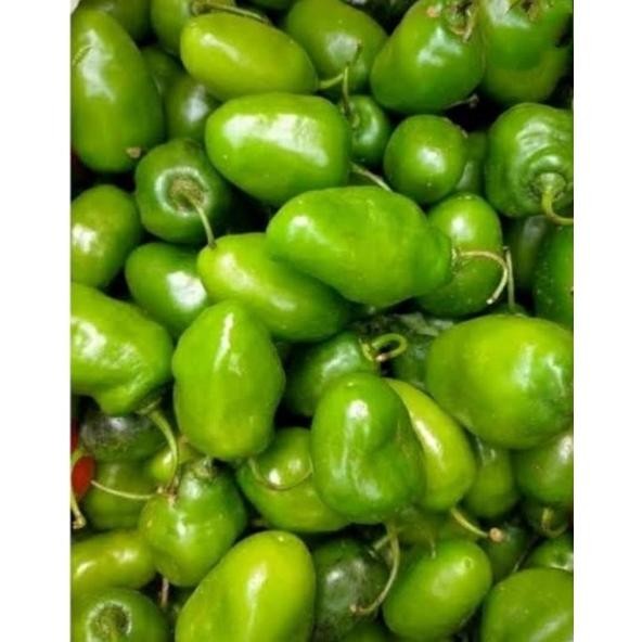 

Paket Cabe Gendot Cabai Bendot Bandung Segar 500Gr