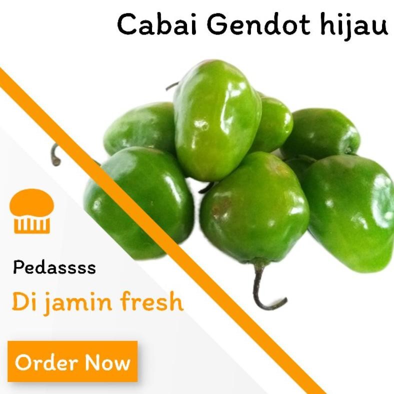 

Praktis Cabai Gendot Hijau Bandung 1 Kg Pengganti Cabai Rawit