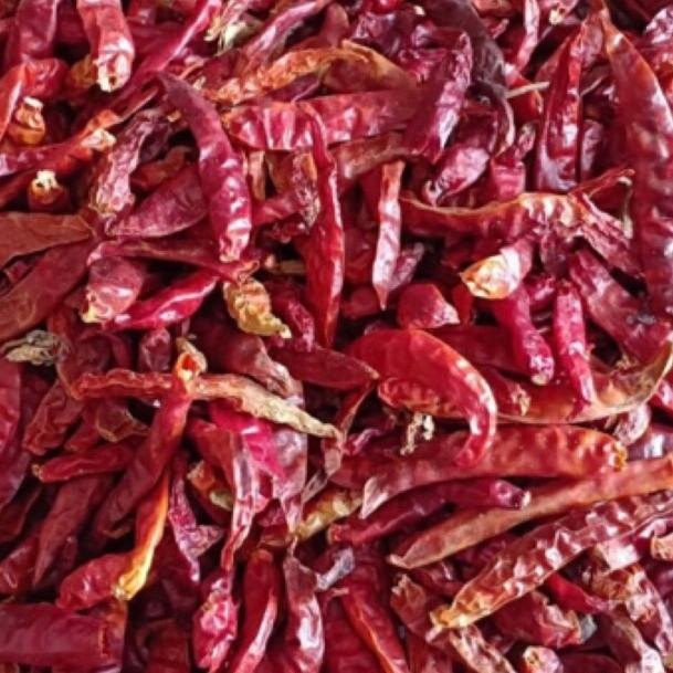 

Premium Cabe Rawit (Teja)1Kg/Petik(Tanpa Tangkai)Cabai Kering Rawit Asli Extra Pedas