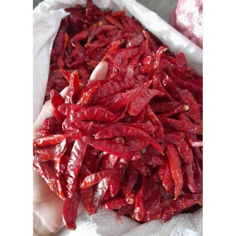 

Terbaru Paket Hemat 5 Kg Cabe Rawit Caplak Teja Super Pedas Tanpa Tangkai