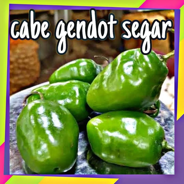

Mampu Bersaing Cabe Gendot 1Kg Asli Dieng