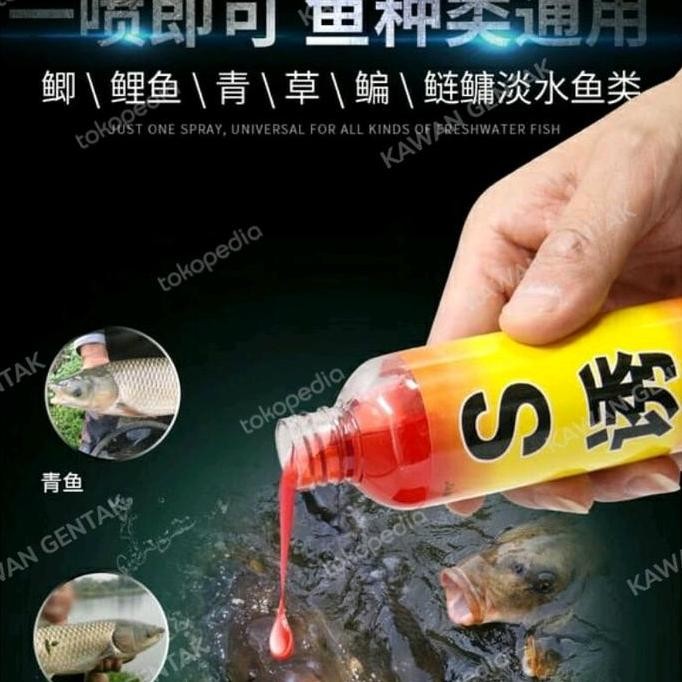 Terbaru Laris, Essen Viral Tiktok Ikan Mas Impor