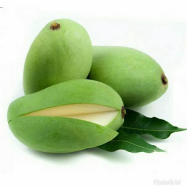 

TERMURAH MANGGA MADU RUJAK MANIS SEGAR 1KG (ISI 4-5 BUAH)