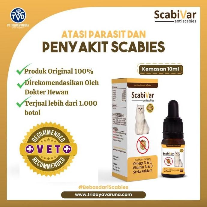 Promo Obat Scabies Kucing - Pengobatan Kudis Keropeng Budukan Kebotakan