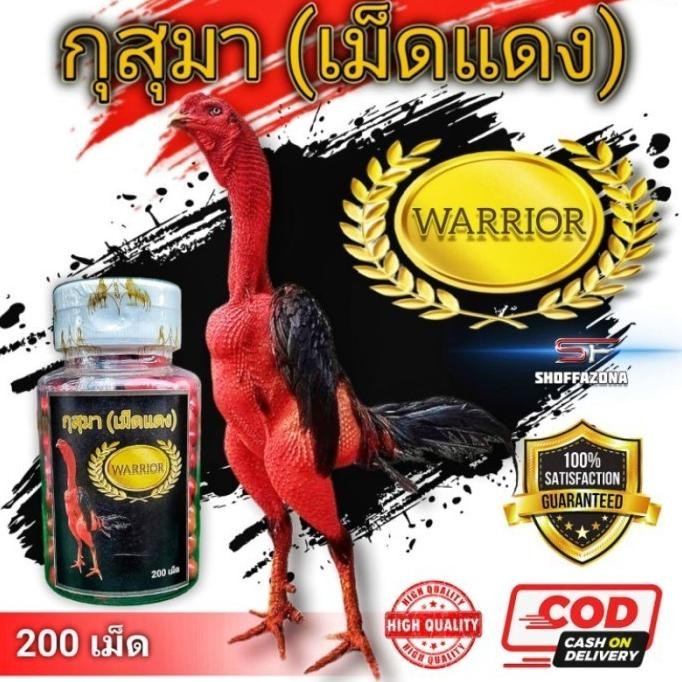 NEWW Warrior Thailand Jamu Doping Ayam Laga Aduan 200 Butir