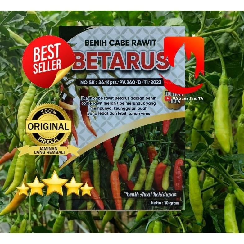 Benih Cabe Rawit BETARUS 10gr. Benih Rawit Tahan Virus