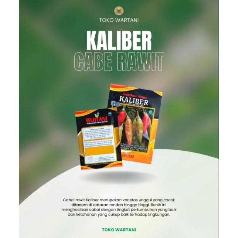 Benih Cabe Rawit Unggul Kaliber