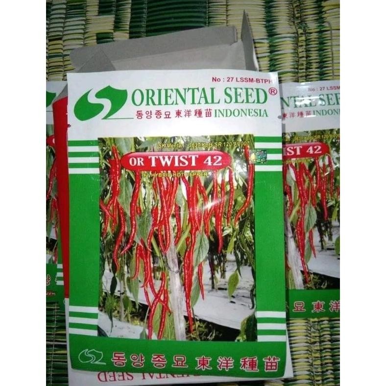 Benih bibit cabe keriting OR TWIST 42 F1 10 gram