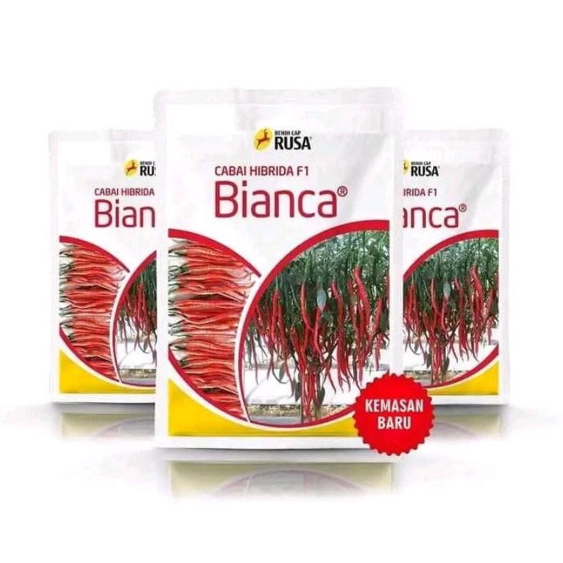 Benih bibit Cabe Keriting Bianca F1 10 gram