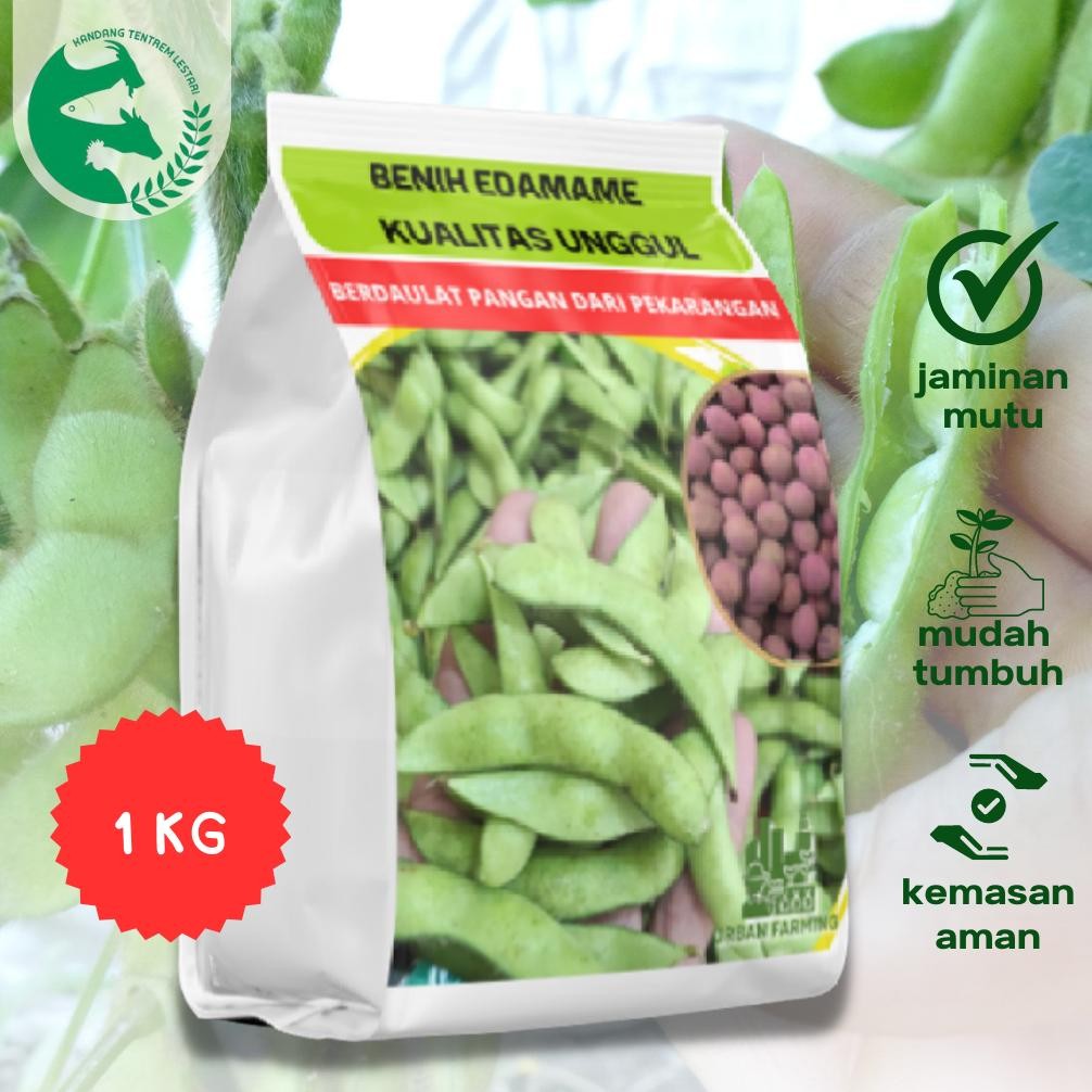 

1 Kg Benih Edamame PREMIUM Kedelai Jepang Jumbo Ryoko