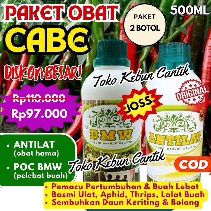Paket POC BMW Pupuk Cabe dan Obat Hama ANTILAT, Atasi Masalah Pertumbuhan dan Serangan Hama Dalam Se