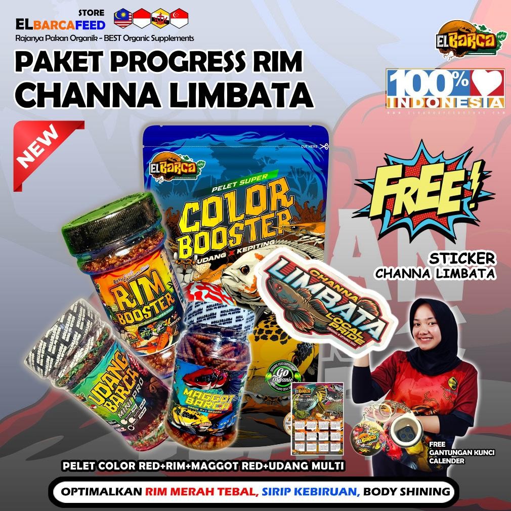 PAKET PAKAN PELET CHANNA LIMBATA Optimalkan Rim Merah Tebal, Sirip fin Kebiruan+Free Sticker Channa 