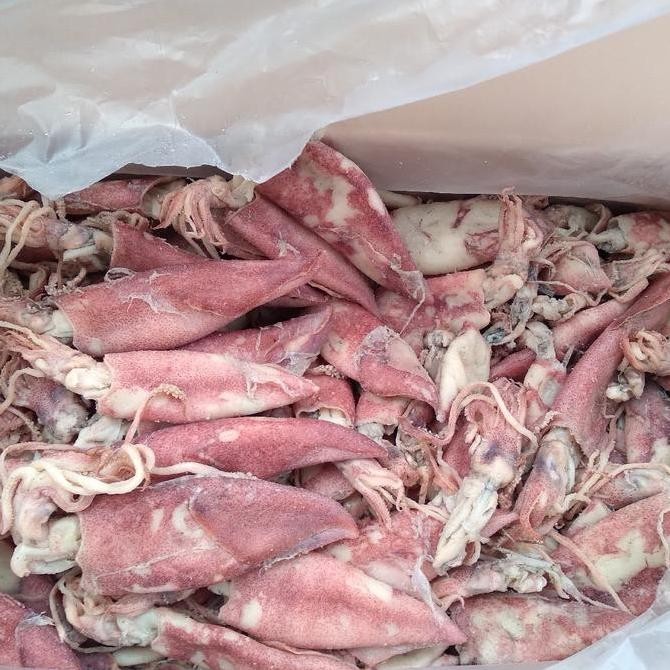 

Cumi Asin Kering Super 1 Kg Food